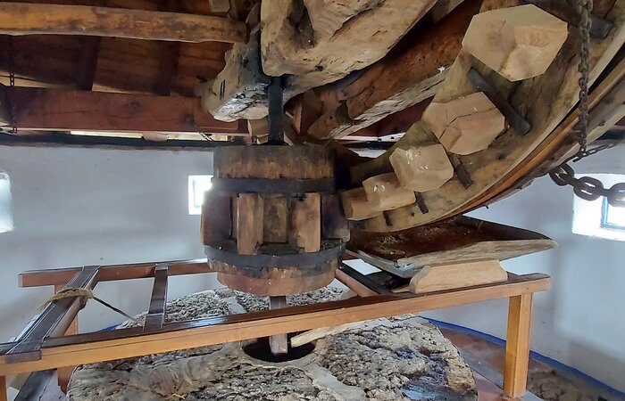 MOLINOS DE VIENTO CONSUEGRA