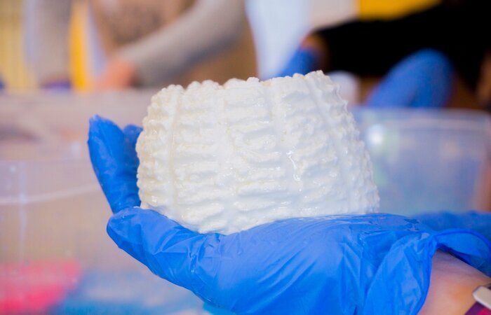 QUESOS CESAR CONSUEGRA